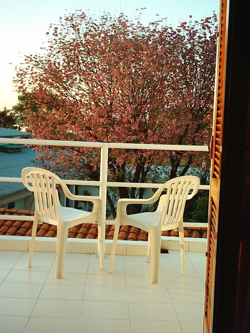 Hotel Palmas Del Sol Ασουνσιόν Εξωτερικό φωτογραφία
